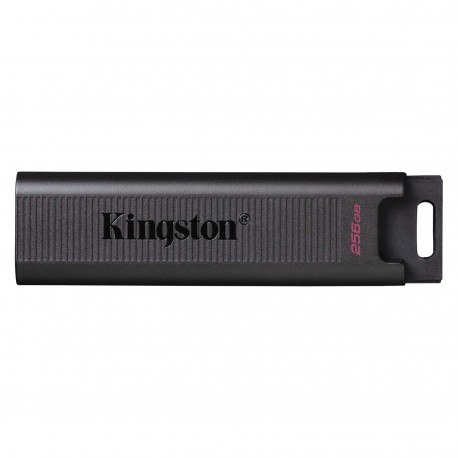 MEMORIA USB KINGSTON DATATRAVELER DTMAX 256G·